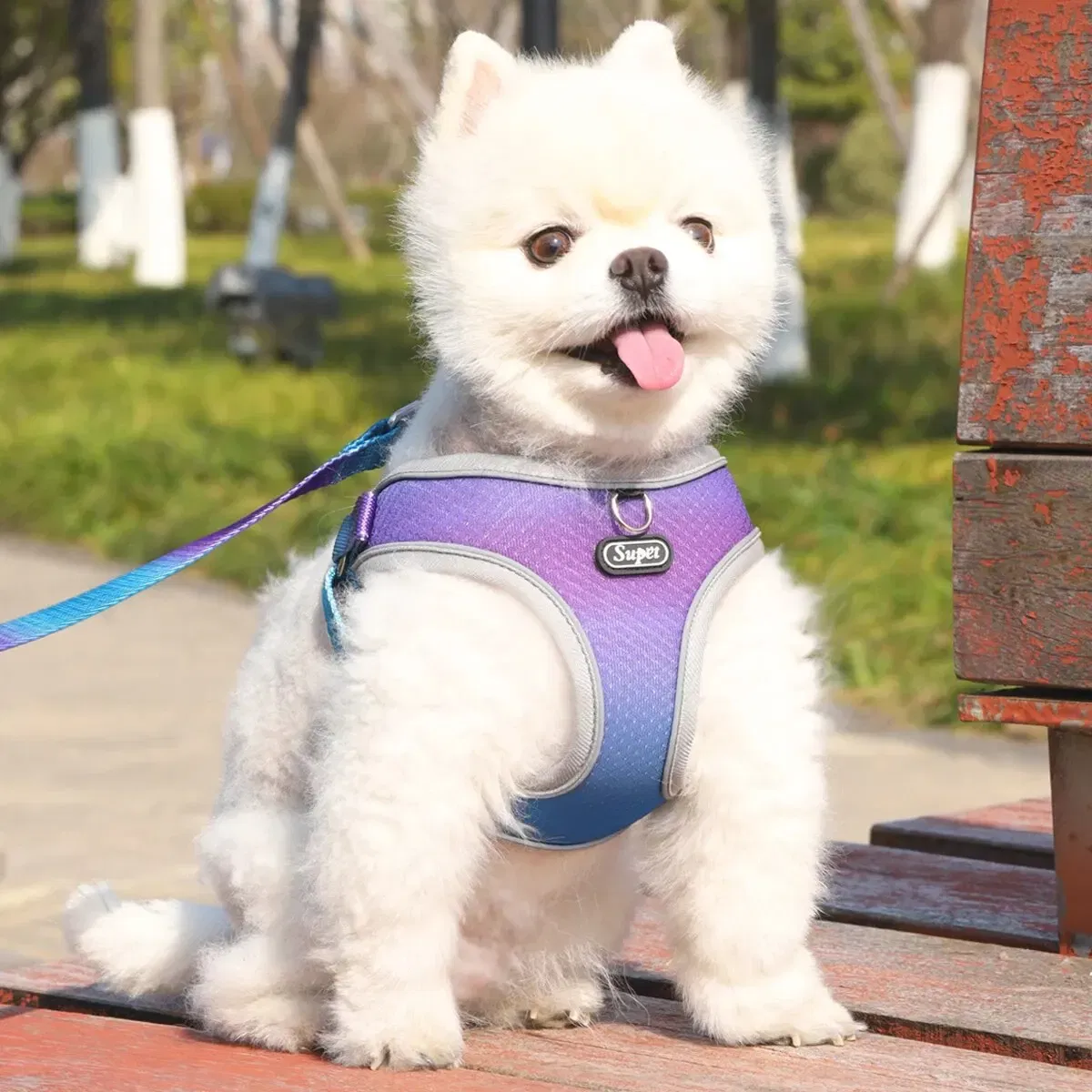 Size: M, Color: Blue - Supet Pet Step-in Dog Harness, Adjustable Reflective Soft Dog Harness, Breathable Dog Vest Harness for Cats Puppy