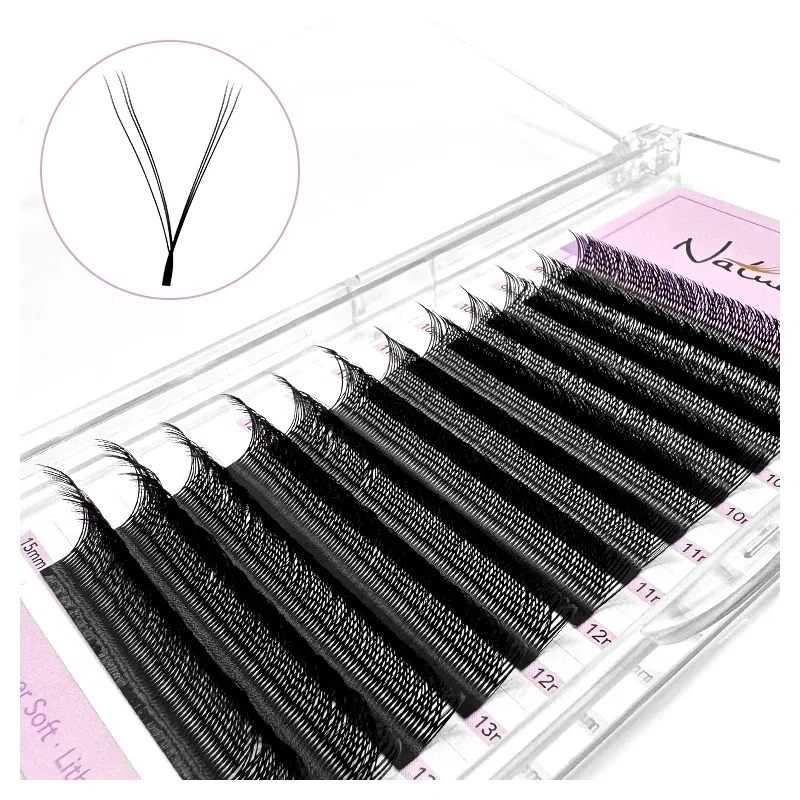 Color: Brushed Slate, Curl: D, Thickness: 0.07mm, Length: 12mm - NATUHANA 3D 4D WW Shaped Eyelash extensions 0.07mm C D L LU Curl Premade Fans Faux Mink Volume Lashes Korean Make Up Tool