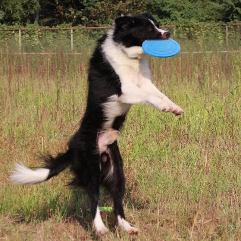 Color: Green - Dog Flying Discs Silicone Flying Saucer Floating Bite Resistant Dog Interactive Game Toy Pet Training Supplies