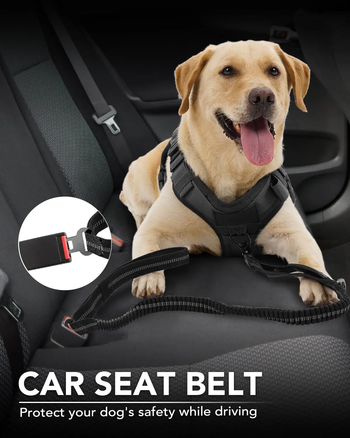 Color: Red - Heavy Duty Dog Leash with Elastic Bungee for Medium & Large Dogs - Shock Absorption & Safety Clip Included