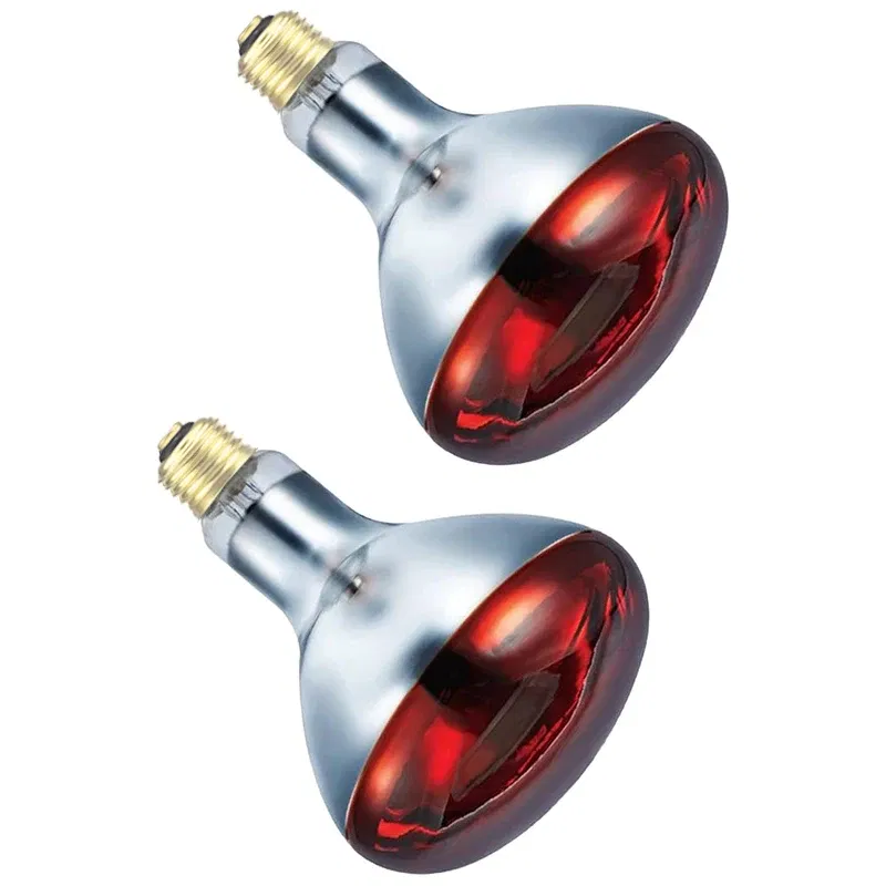 Color: Dark Khaki, Ships From: United States - BONGBADA Quartz glass waterproof and explosion-proof E26 E27 Red R40 Infrared Heat Lamp Farm lamp 100W 150W 200W 250W 275W