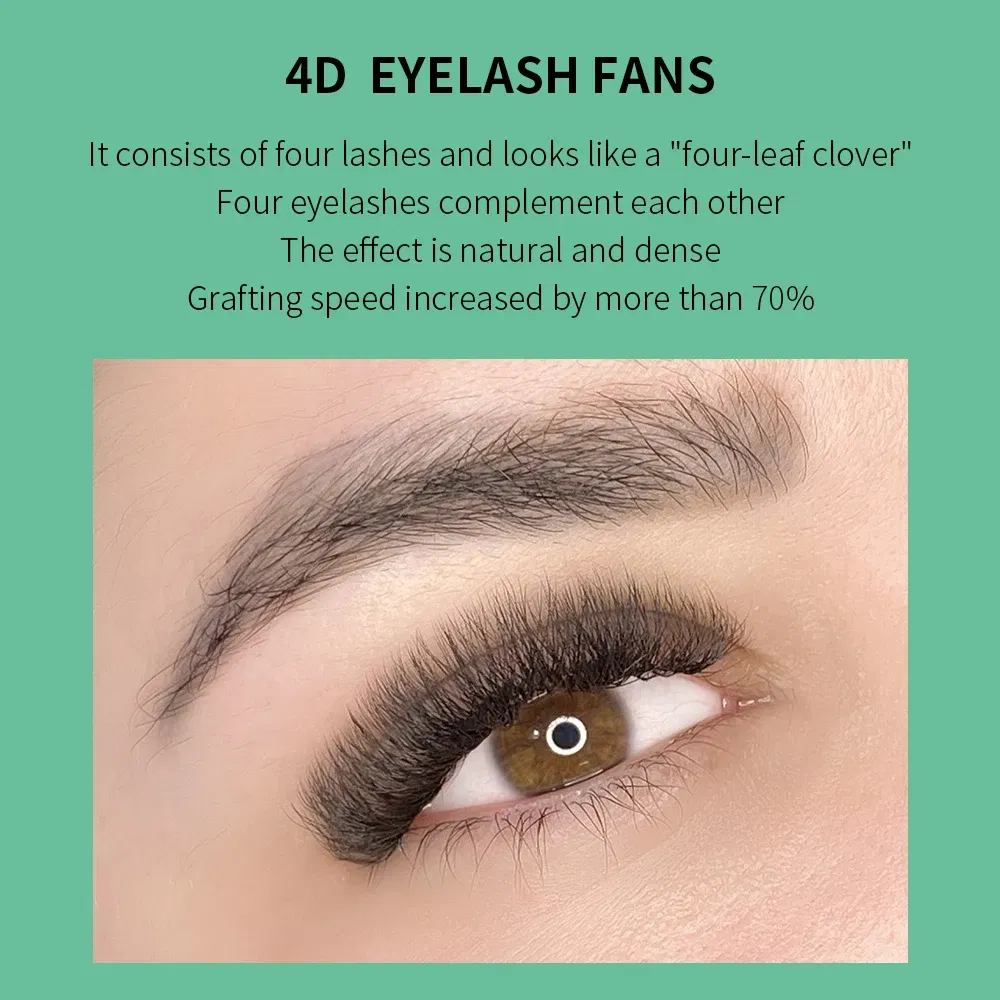 Color: Brushed Chrome, Curl: D, Thickness: 0.07mm, Length: 15mm - GLAMLASH 4D - W Shaped Eyelash Extension Automatic Flowering W Fake Lashes 0.07mm C/D/L/LU Curl Individual