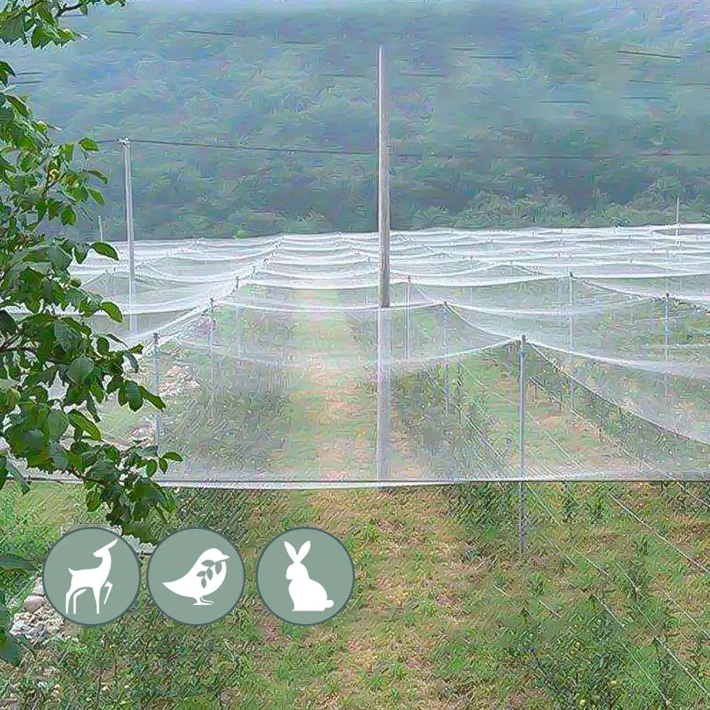 Color: Beige, Size: M - 3x1-20M Anti-bird Netting Garden Outdoor Pest Barrier Knotted Square Mesh Protection Net Extra Strong Poultry Breeding Nylon Net