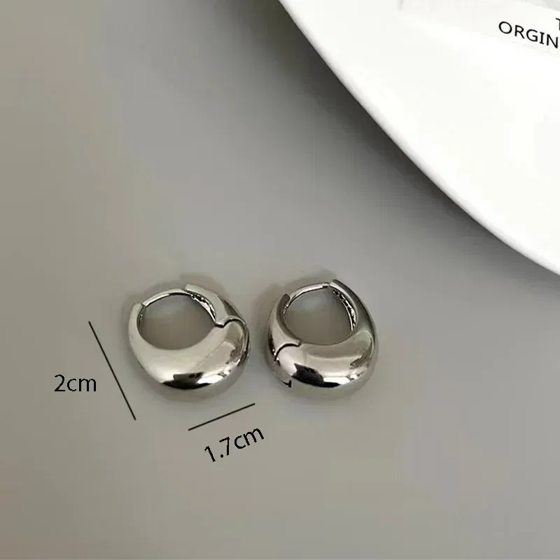 Metal Color: Light Yellow Gold Color - Stainless Steel Smooth Metal Chunky Hoop Earrings For Women Girls Fashion Round Circle Hoops Statement Earrings Punk Jewelry