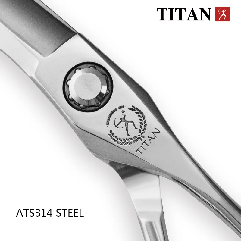 Color: Black - TITAN Professional hair scissors set hairdressing salon cutting tools barber shears 6.0inch