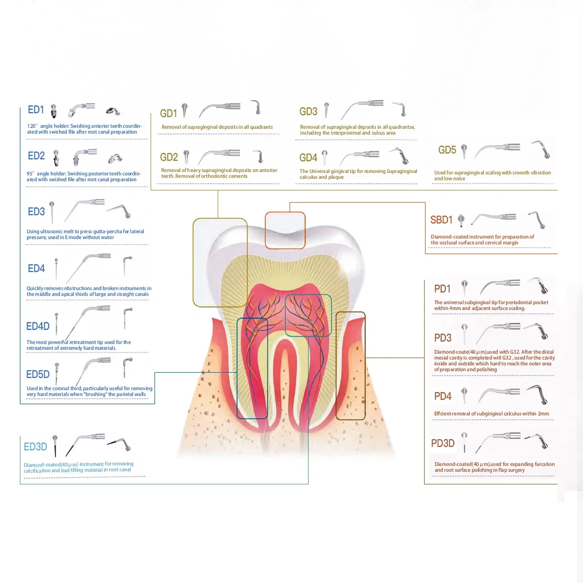 Color: Gold, Ships From: CHINA - AZDENT 1pc Dental Ultrasonic Scaler Tip Scaling Periodontics Endodontics GD PD ED Tip Fit for SATELEC DTE NSK Ultrasonic Scaler