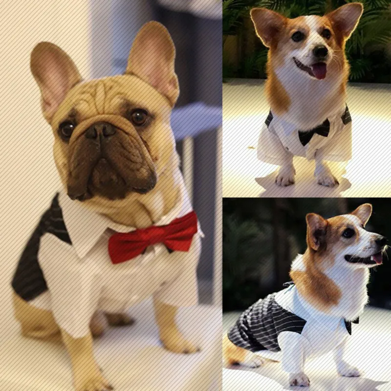 Color: Dark Brown, Size: S - Dog Gentleman Wedding Suit Clothes Dog Suit Bow Tie Clothes Halloween Christmas Costume For Small Dogs Teddy Bulldog