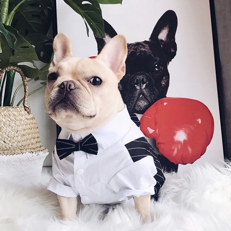 Color: Red, Size: XXL - Dog Gentleman Wedding Suit Clothes Dog Suit Bow Tie Clothes Halloween Christmas Costume For Small Dogs Teddy Bulldog