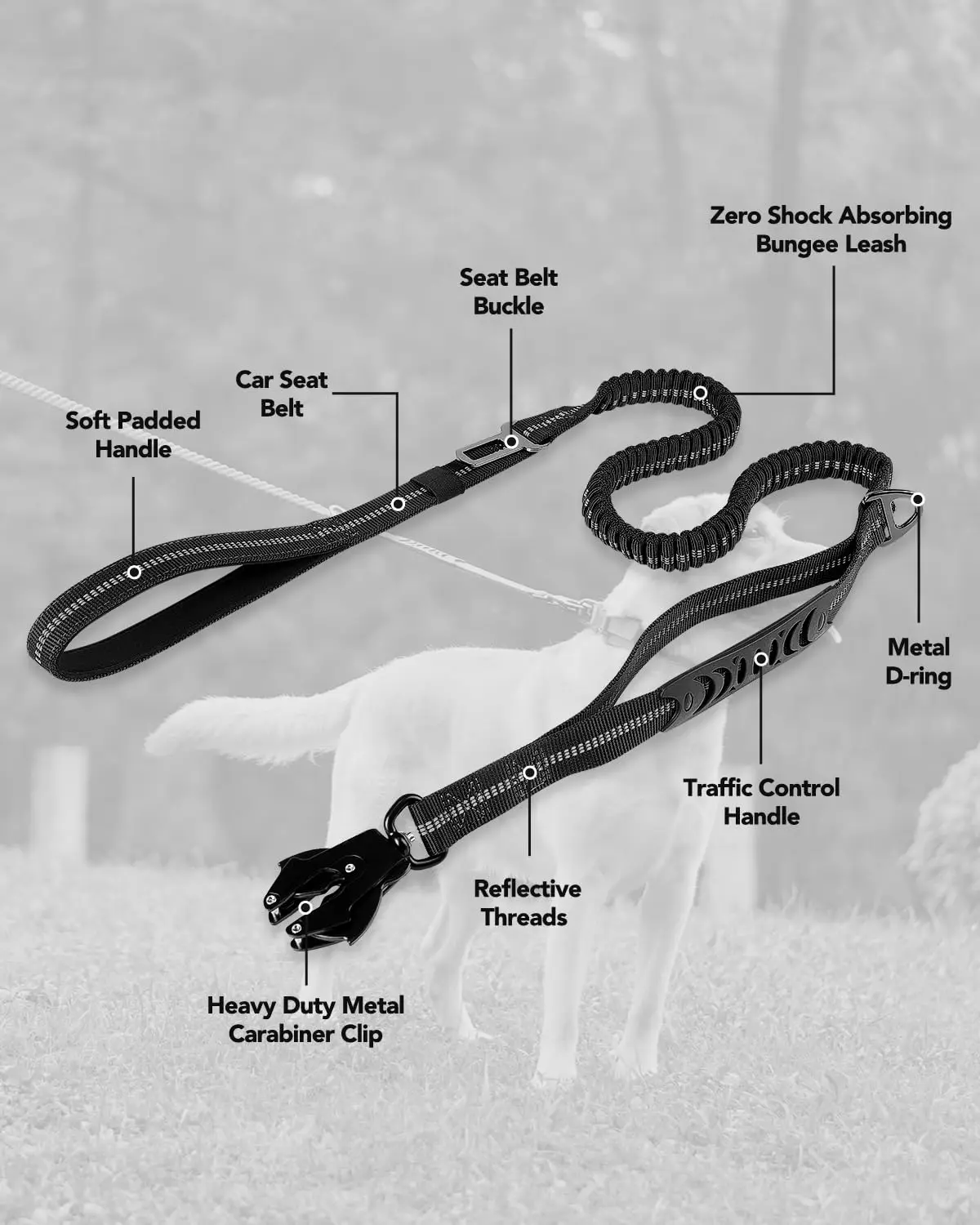 Color: Green - Heavy Duty Dog Leash with Elastic Bungee for Medium & Large Dogs - Shock Absorption & Safety Clip Included
