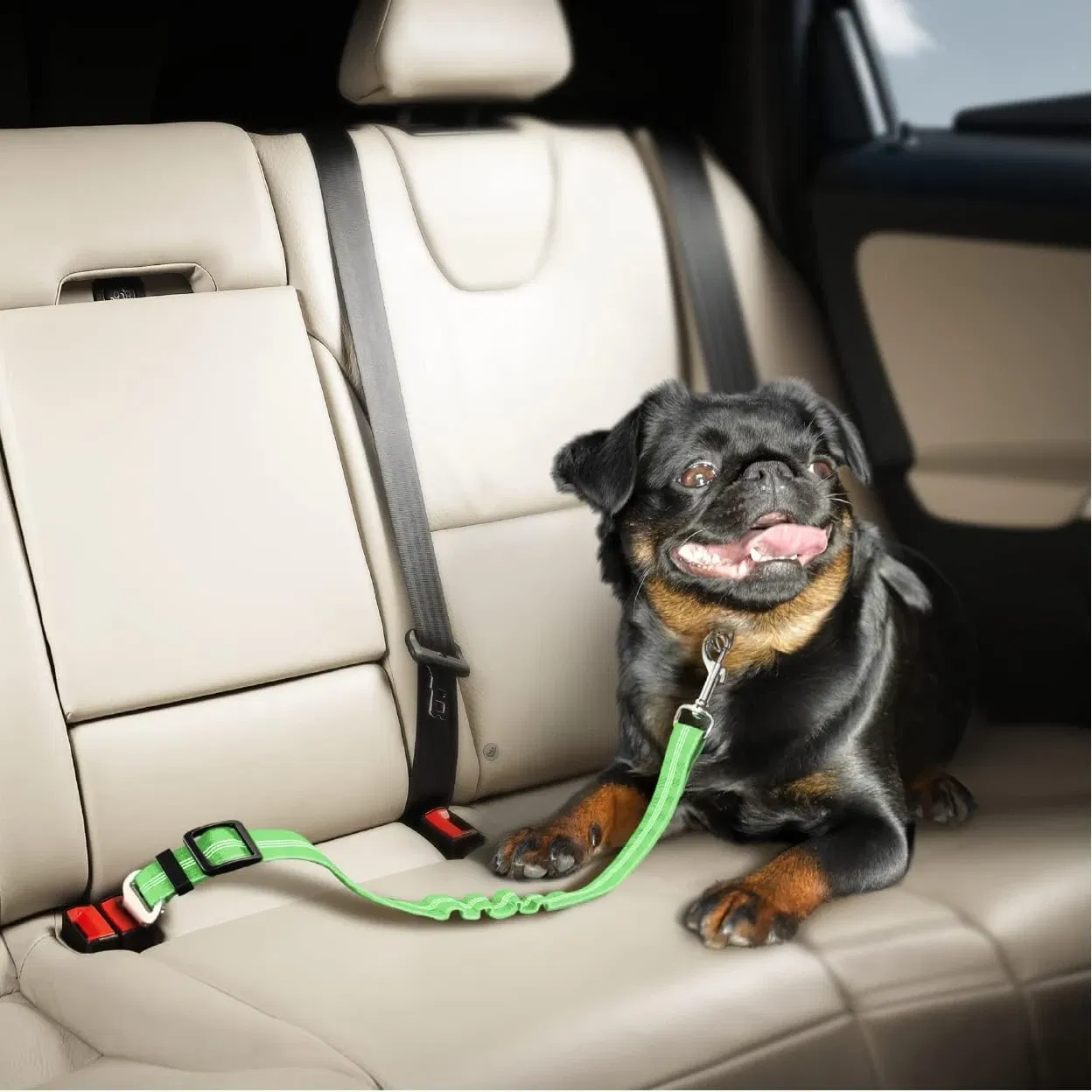 Color: black - Universal Adjustable Cat Dog Seat-Belt Elastic & Reflective Vehicle Nylon Seat Belt for Small Medium Large Dog,Pet Accessoires