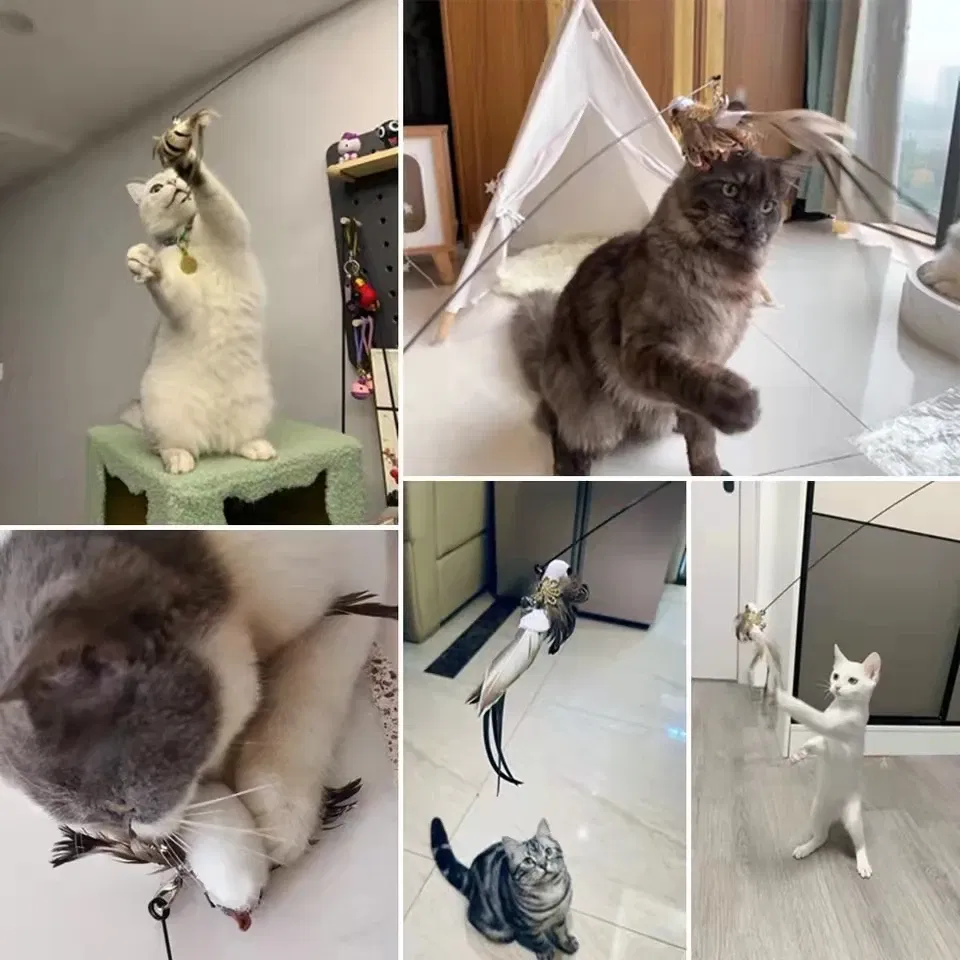 Color: Silver, Ships From: CHINA - Simulation Bird Interactive Funny Cat Stick Toy Furry Feather Bird With Bell Sucker Cat Stick Toy Kitten Playing Pet Accessories