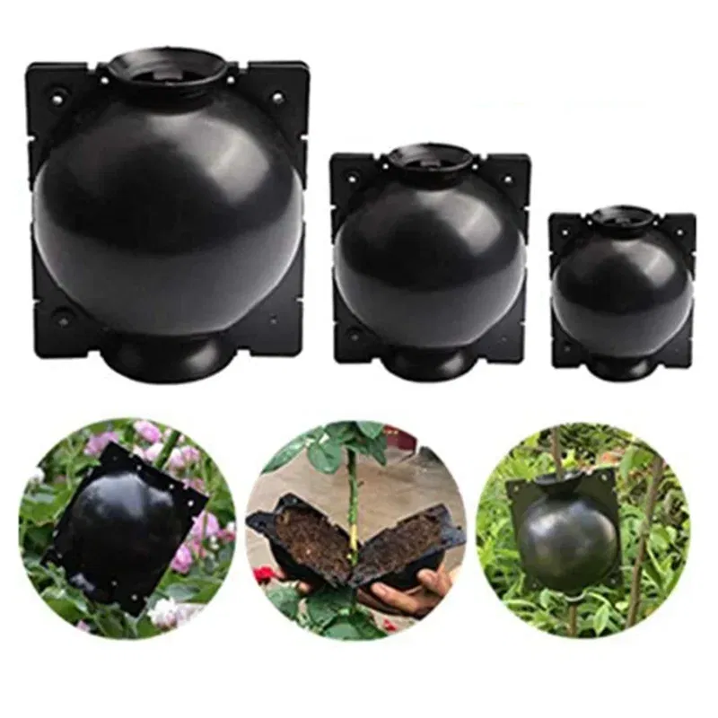 Color: GRAY - 6pc Plant Rooting Ball S-l High Pressure Graft Breeding Case Nursery Box Propagation Plant Root Pot Garden Accessories