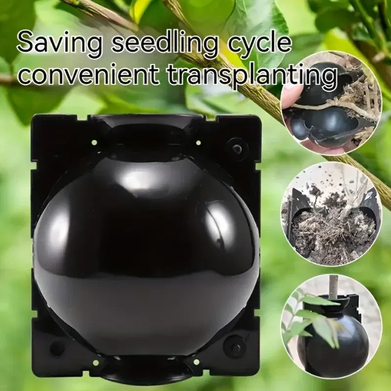 Color: GRAY - 6pc Plant Rooting Ball S-l High Pressure Graft Breeding Case Nursery Box Propagation Plant Root Pot Garden Accessories