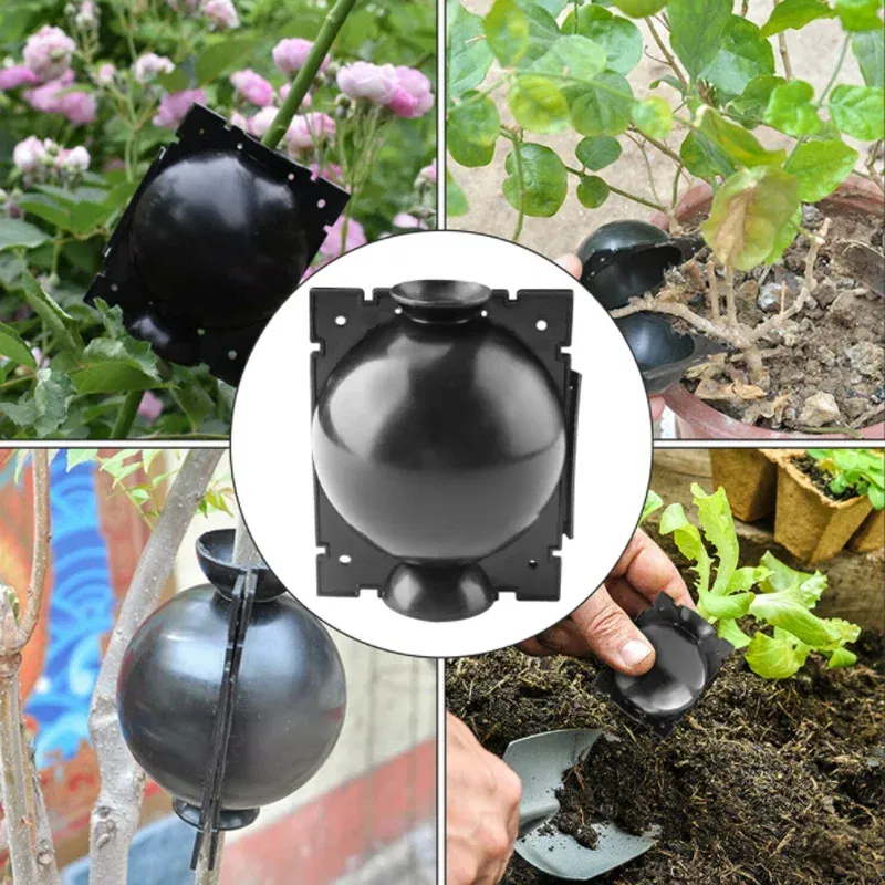 Color: GRAY - 6pc Plant Rooting Ball S-l High Pressure Graft Breeding Case Nursery Box Propagation Plant Root Pot Garden Accessories