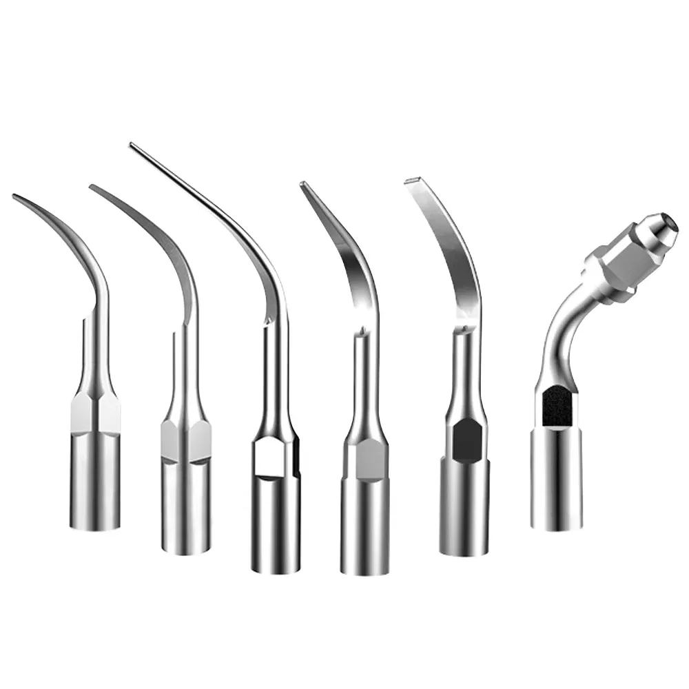 Color: Dark purple, Ships From: CHINA - AZDENT 1pc Dental Ultrasonic Scaler Tip Scaling Periodontics Endodontics GD PD ED Tip Fit for SATELEC DTE NSK Ultrasonic Scaler
