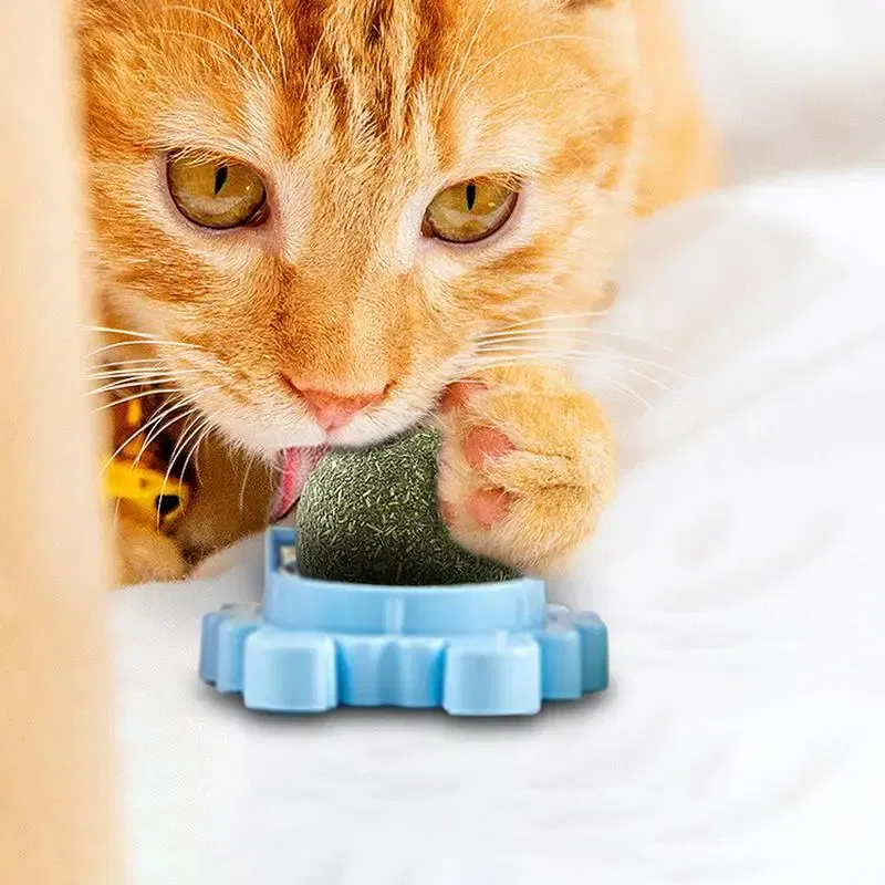 Color: Blue, Ships From: CHINA - Catnip Wall Ball Safe Edible Cat Licking Toy Cat Chew Toy Teeth Cleaning Cat Bite Toy Removable Catnip Licking Toys For Cats