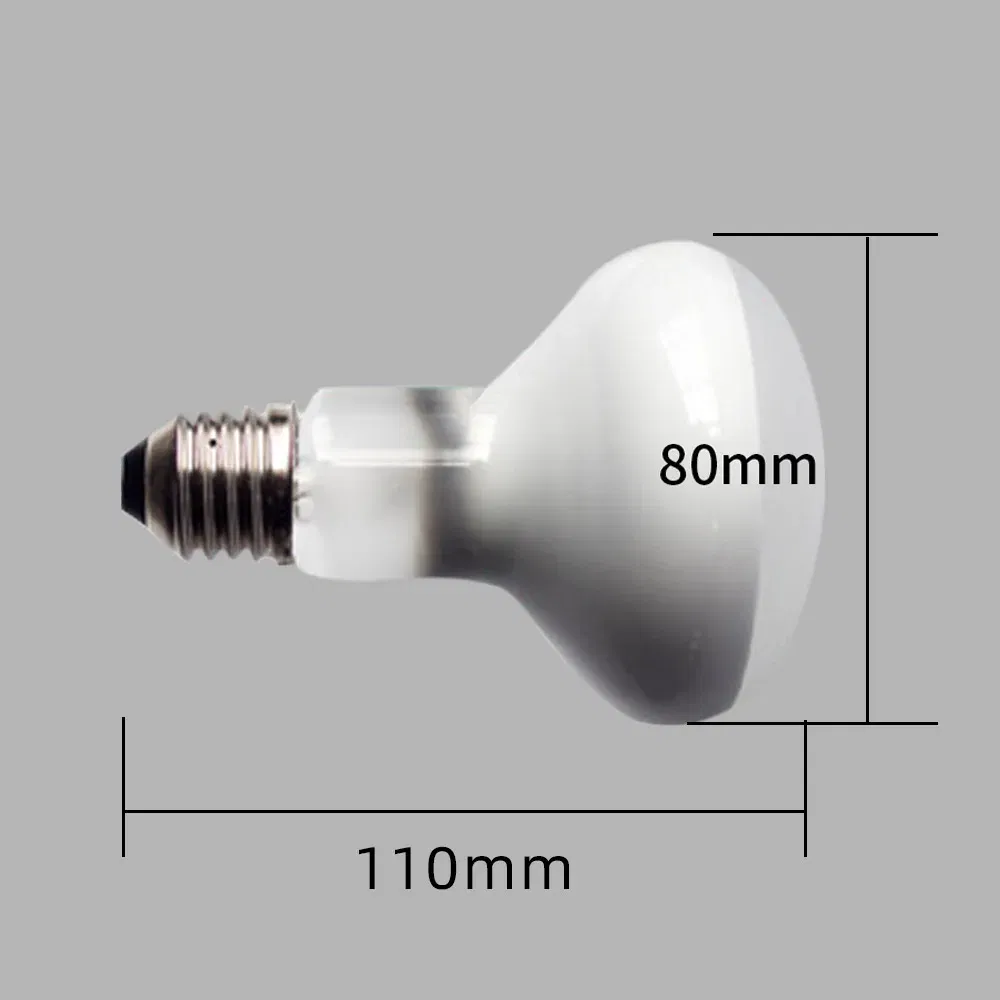 Color: light yellow, Ships From: CHINA - UVA+UVB Heating Lamp uv light Suitable For Turtle Lizard Reptile Pet Waterproof Fluorescent Lamp Temperature Controller 220V