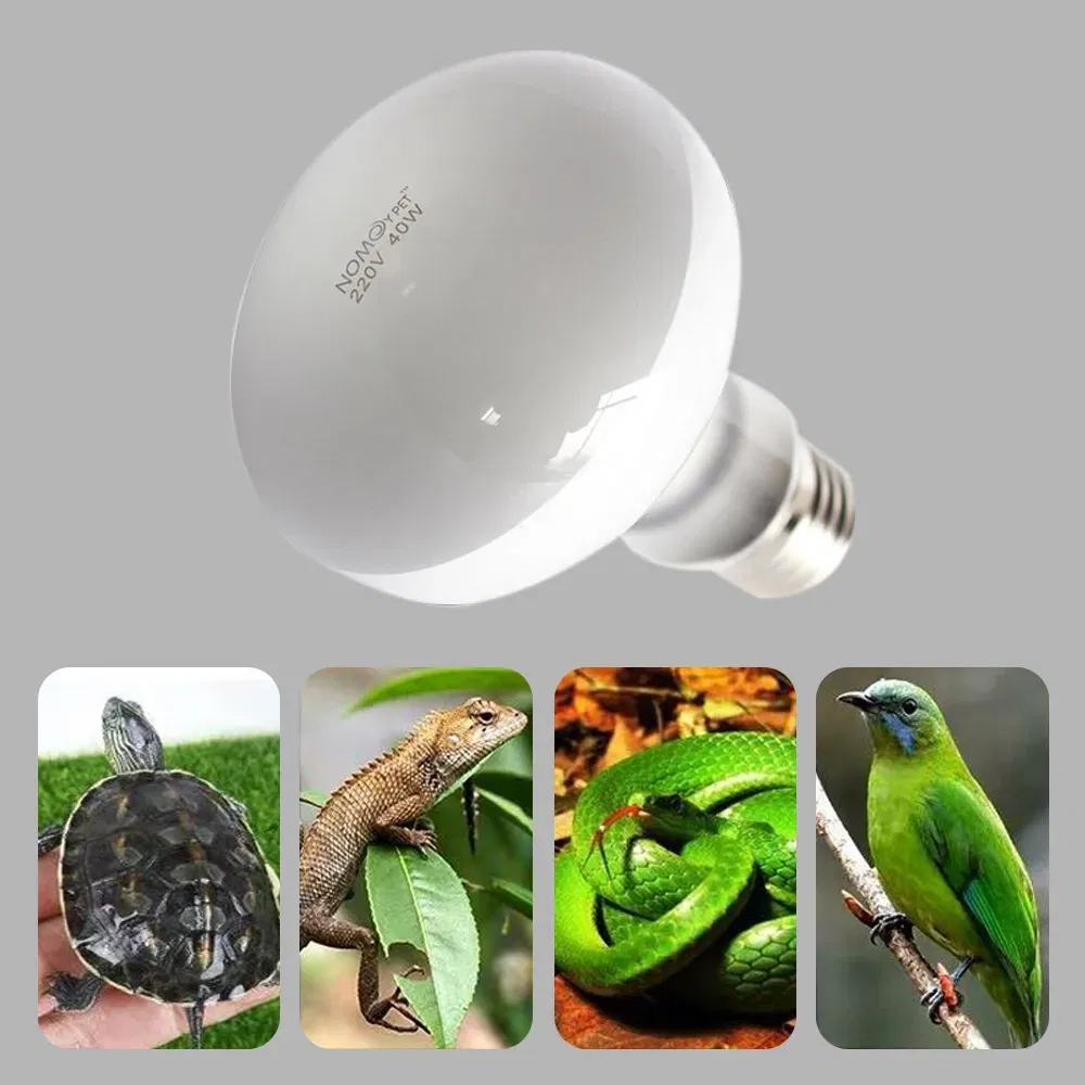 Color: light yellow, Ships From: CHINA - UVA+UVB Heating Lamp uv light Suitable For Turtle Lizard Reptile Pet Waterproof Fluorescent Lamp Temperature Controller 220V