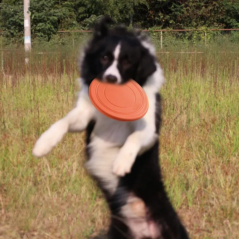 Color: PURPLE - Dog Flying Discs Silicone Flying Saucer Floating Bite Resistant Dog Interactive Game Toy Pet Training Supplies