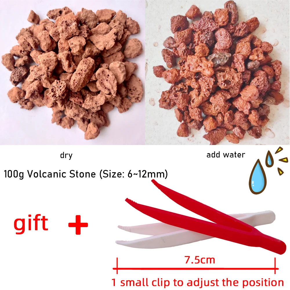 3256804281781055