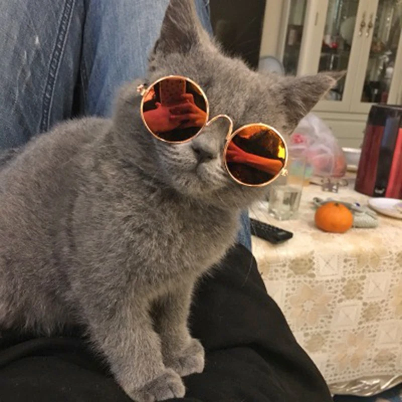 Color: plum - Doll Cool Glasses Pet Sunglasses For BJD Blyth American Grils Toy Photo Props Dropship