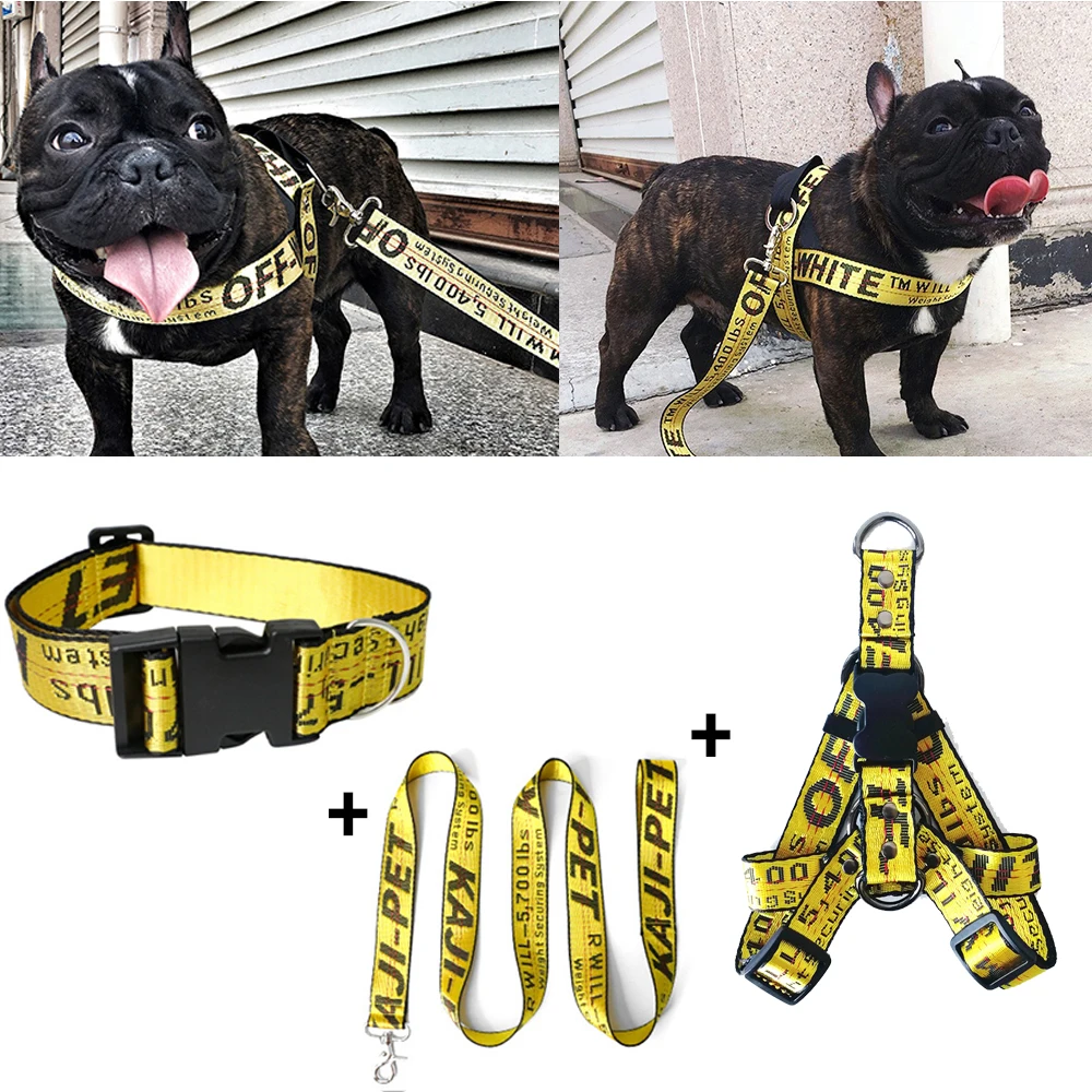 Color: Silver, Size: S - Fashion Dog Collar Leash Set Gold Chain Nylon Pets Dog Collar Leash Long Rope Lettered Collar Perro Collar For Pitbull Puppy Dog