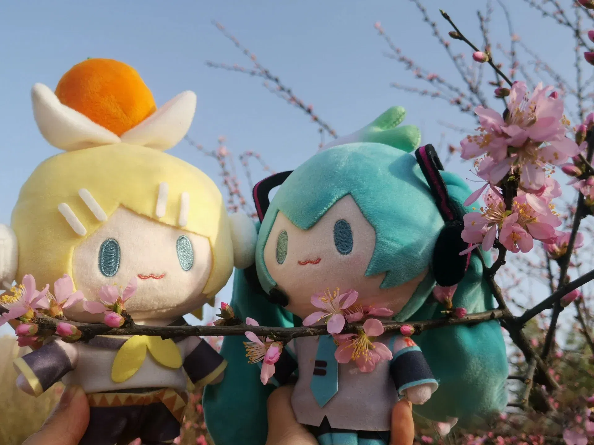 Color: black - 15cm Hatsune Miku Kawaii Q Version Figure Plush Doll Anime Peripheral Plush Stuffed Toy Collection Model Ornament Toys Gifts