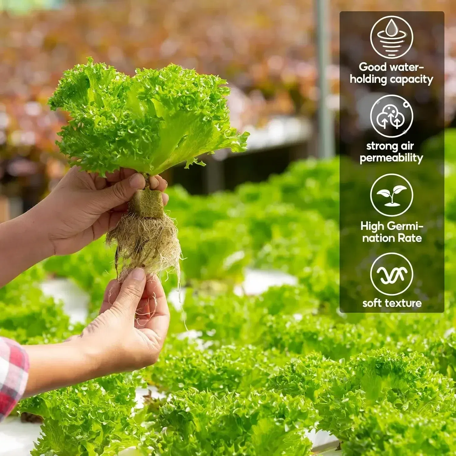 Color: WHITE - Stonewool Hydroponic Grow Media Cubes Plant Cube Soilless Substrate Seeded Planting Spong Plug Seedling Block Garden Tools