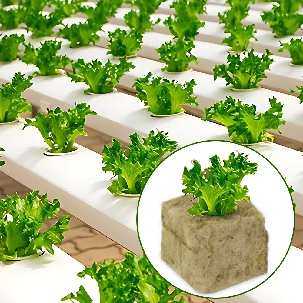 Color: WHITE - Stonewool Hydroponic Grow Media Cubes Plant Cube Soilless Substrate Seeded Planting Spong Plug Seedling Block Garden Tools