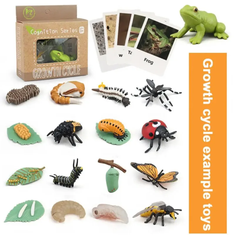 Color: DEEP BLUE - Montessori Life Cycle Animal Figures With Flash Cards Educational Matching Game Creative Biology Model Learning Teaching Aids