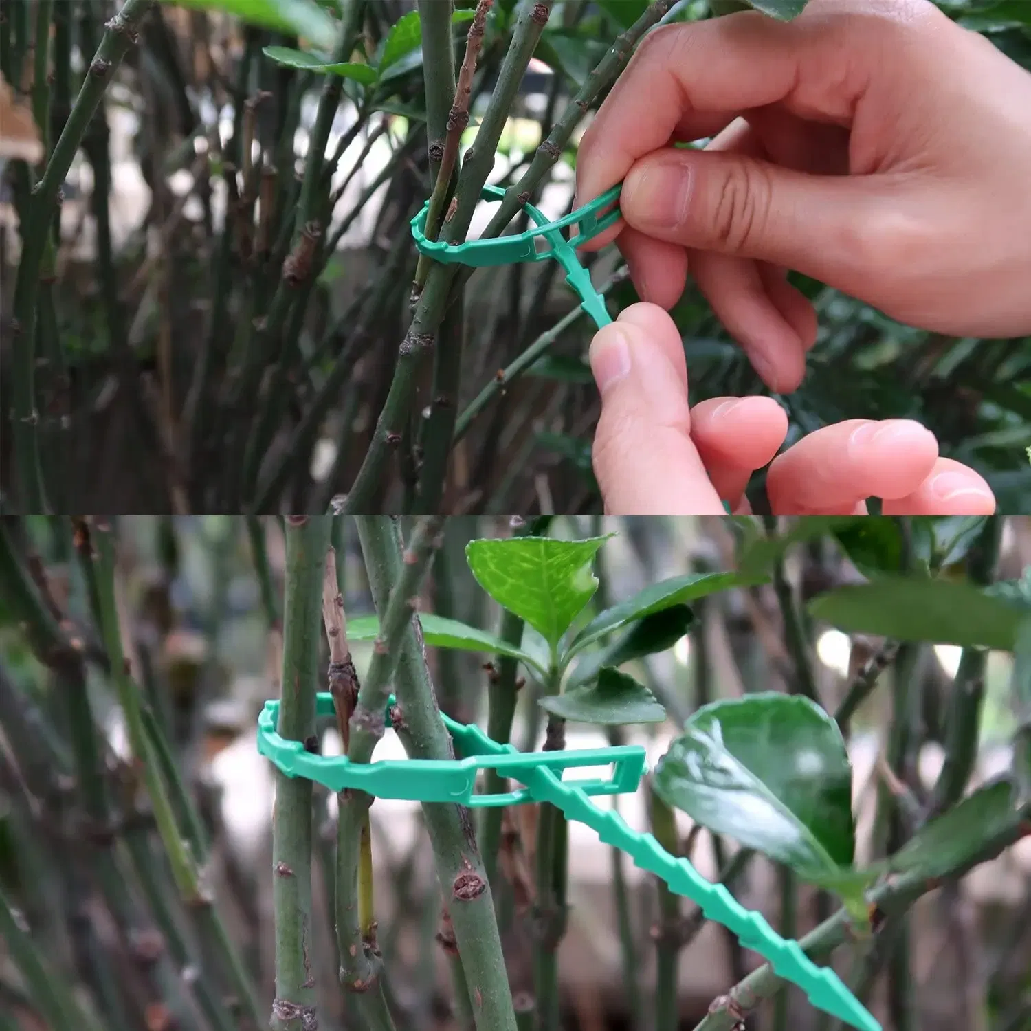 Size: M, Color: Brown - 30/50/100/200Pcs Reusable Garden Cable Ties Plant Support Shrubs Fastener Tree Locking Nylon Adjustable Plastic Cable Ties Tools