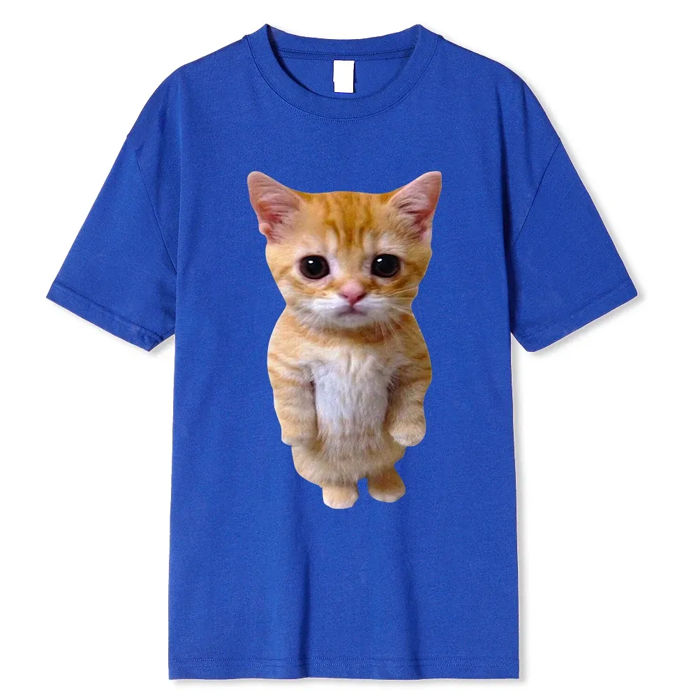 Color: GRAY, Size: M - El Gato Meme Sad Crying Cat Munchkin Kitty Meme Trendy Graphic T-shirt Unisex Fashion Short Sleeve T-shirts Oversized Streetwear