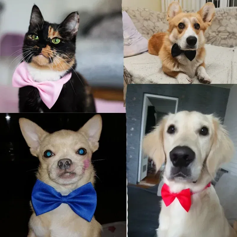 Color: multi - Pet Dog Cat Necklace Adjustable Strap for Cat Collar Dogs Accessories pet dog bow tie puppy bow ties dog Pet supplies