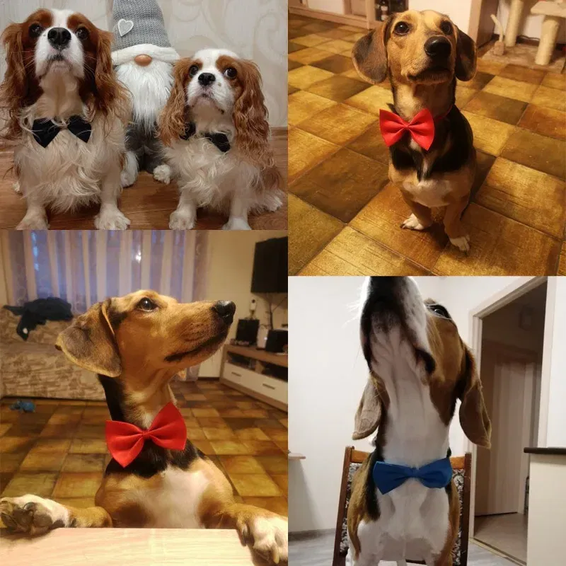 Color: multi - Pet Dog Cat Necklace Adjustable Strap for Cat Collar Dogs Accessories pet dog bow tie puppy bow ties dog Pet supplies