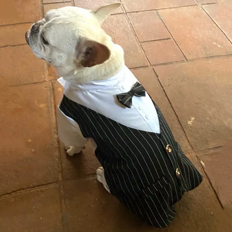 Color: Black, Size: XXXL - Dog Gentleman Wedding Suit Clothes Dog Suit Bow Tie Clothes Halloween Christmas Costume For Small Dogs Teddy Bulldog