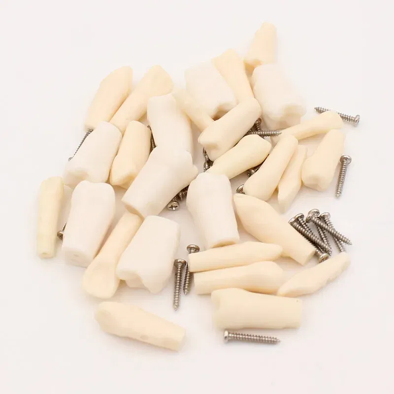 Color: PURPLE - 10Pc Dental Tooth Model Endodontic Root Canal Block RCT Practice Pulp Cavity Dentistry Replace Resin Teeth Endo Training Student