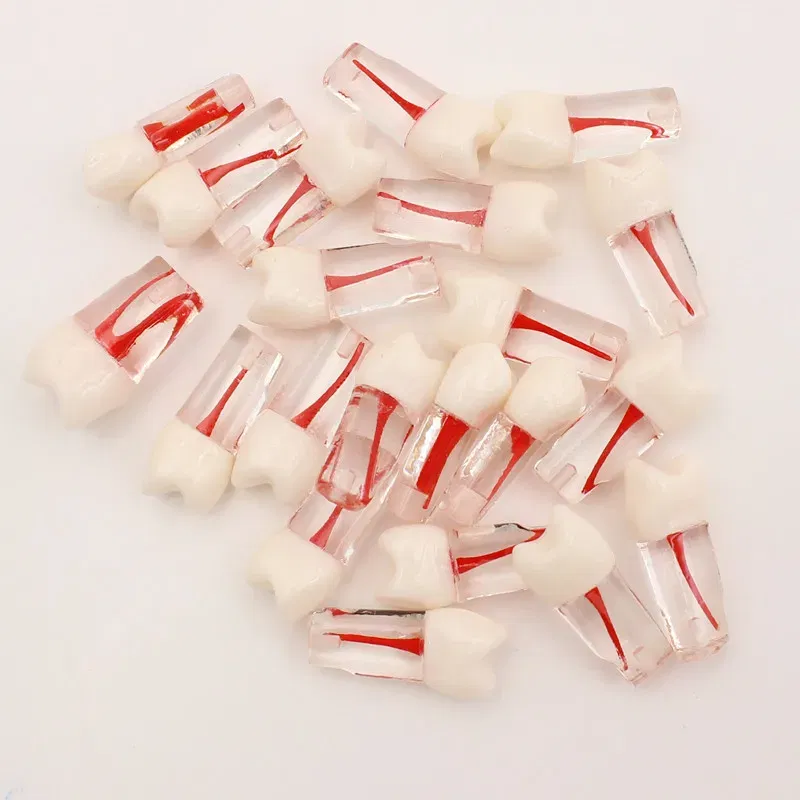 Color: PURPLE - 10Pc Dental Tooth Model Endodontic Root Canal Block RCT Practice Pulp Cavity Dentistry Replace Resin Teeth Endo Training Student