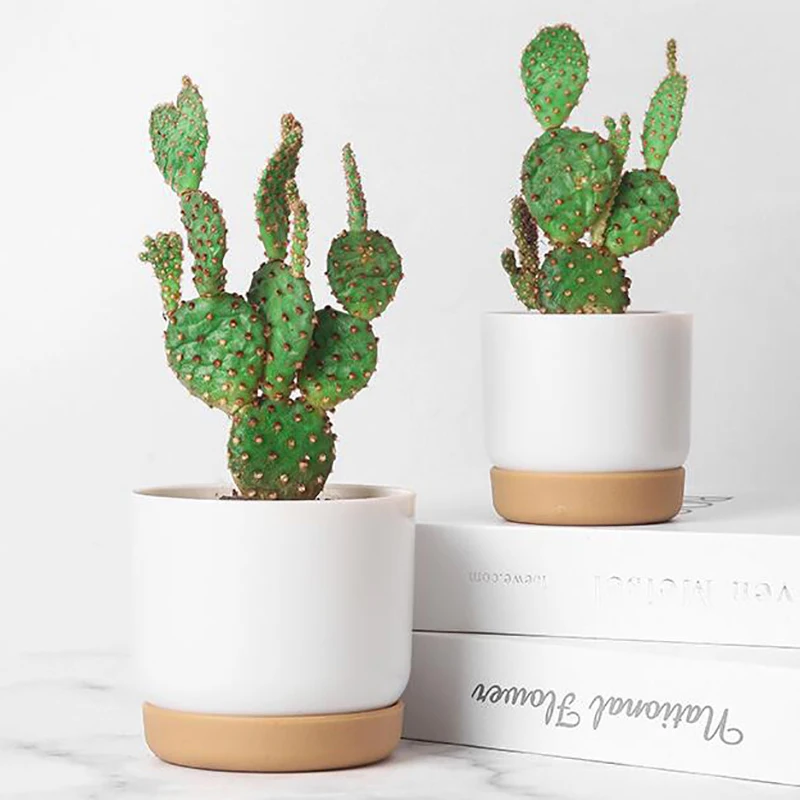 Color: Yellow - 1pcs Succulent Plant Pot Six-sided Ceramic Pot Succulent Flowerpot Set With Bamboo Support For Desktop