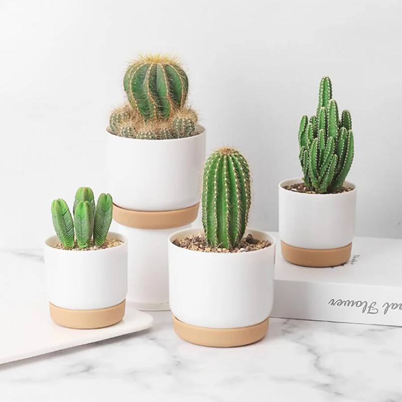 Color: Yellow - 1pcs Succulent Plant Pot Six-sided Ceramic Pot Succulent Flowerpot Set With Bamboo Support For Desktop