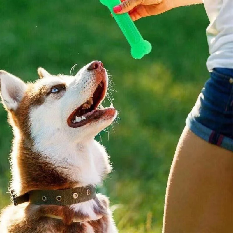 Color: black, Ships From: CHINA - Hot Sale Pet Dog Chew Toys Rubber Bone Toy Aggressive Chewers Dog Toothbrush Doggy Puppy Dental Care For Dog Pet Accessories