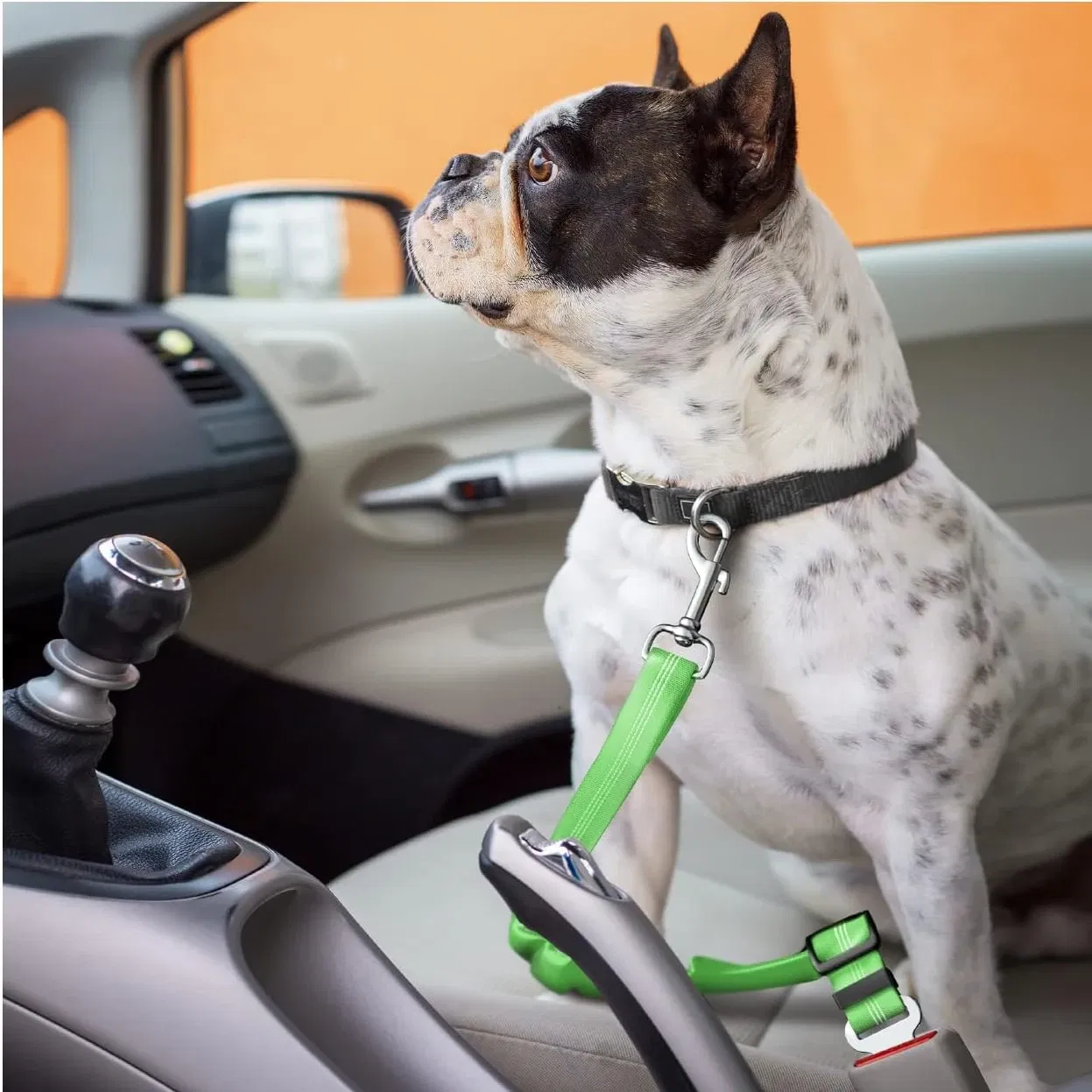 Color: Chocolate - Universal Adjustable Cat Dog Seat-Belt Elastic & Reflective Vehicle Nylon Seat Belt for Small Medium Large Dog,Pet Accessoires