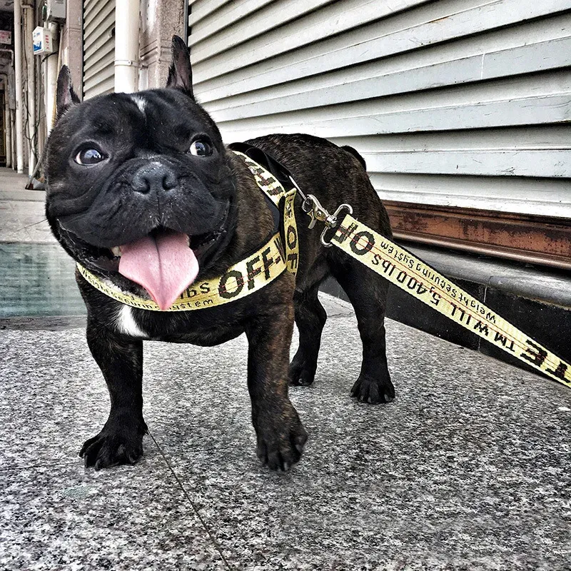 Color: Gold, Size: L - Fashion Dog Collar Leash Set Gold Chain Nylon Pets Dog Collar Leash Long Rope Lettered Collar Perro Collar For Pitbull Puppy Dog