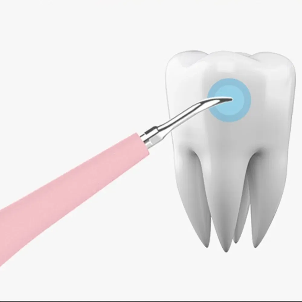 Color: Pink - Portable Electric Sonic Dental Scaler Tooth Calculus Remover Tooth Stains Tartar Tool Dentist Teeth Whitening Toothbrush