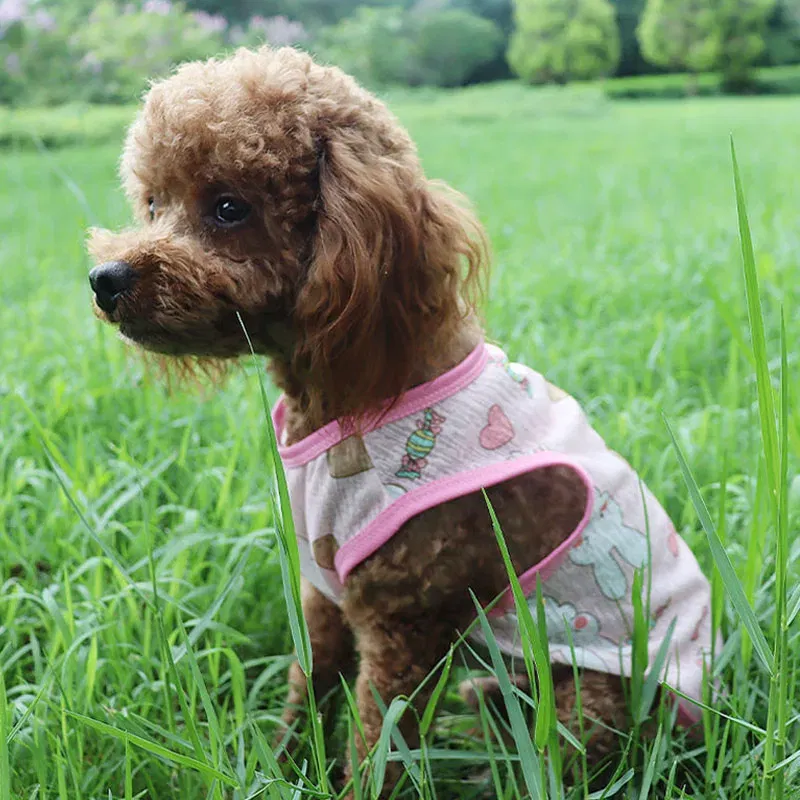 Color: WHITE, Size: L - Summer Dog Vest Ultra Thin Breathable Mesh Cloth Pet T-shirt for Small Dogs Cute Cartoon Print Puppy Cat Cheap Clothes Costumes