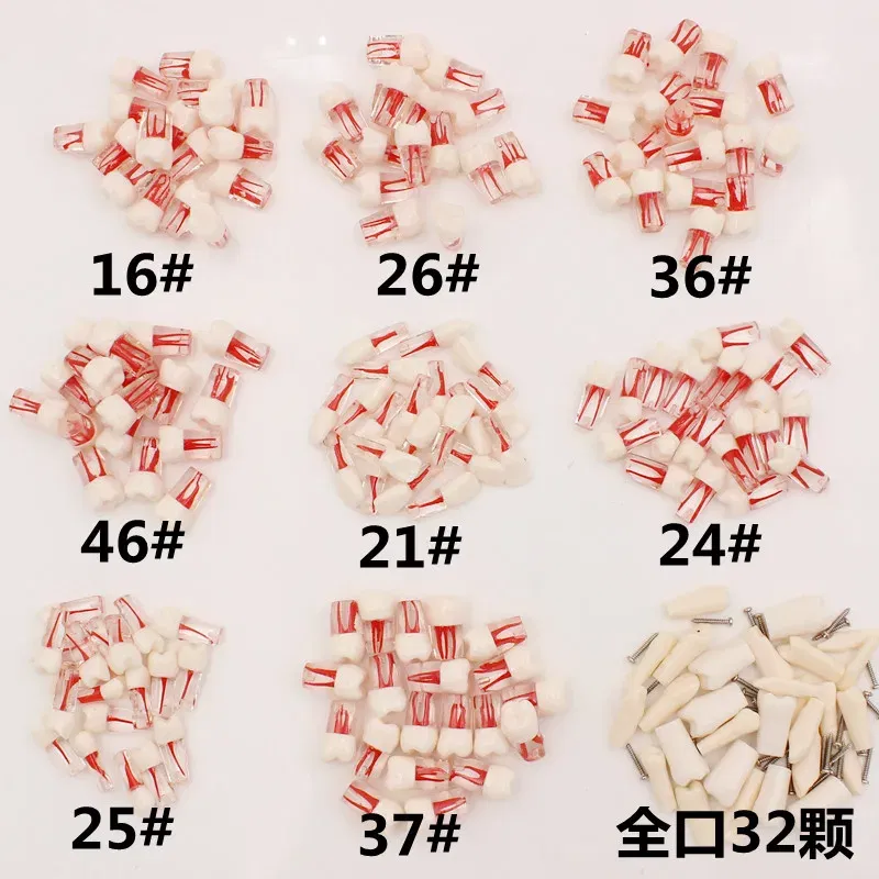 Color: Pink - 10Pc Dental Tooth Model Endodontic Root Canal Block RCT Practice Pulp Cavity Dentistry Replace Resin Teeth Endo Training Student