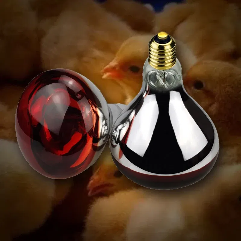 Color: Light Grey, Ships From: CHINA - BONGBADA Quartz glass waterproof and explosion-proof E26 E27 Red R40 Infrared Heat Lamp Farm lamp 100W 150W 200W 250W 275W