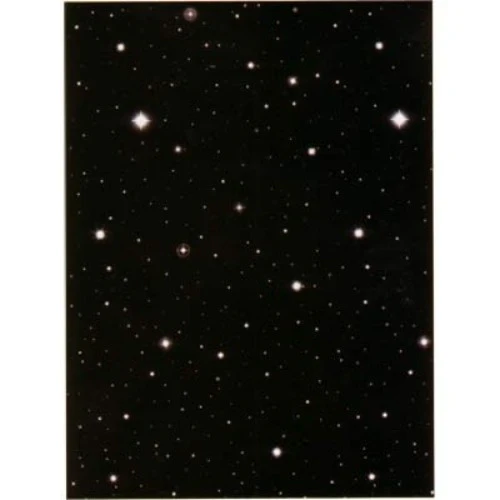 Scene Setter Wall Starry Nights