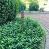 World's Coolest Rain Gauge