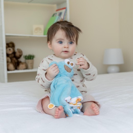 Sesame Street Cookie Monster Comfort Blanket