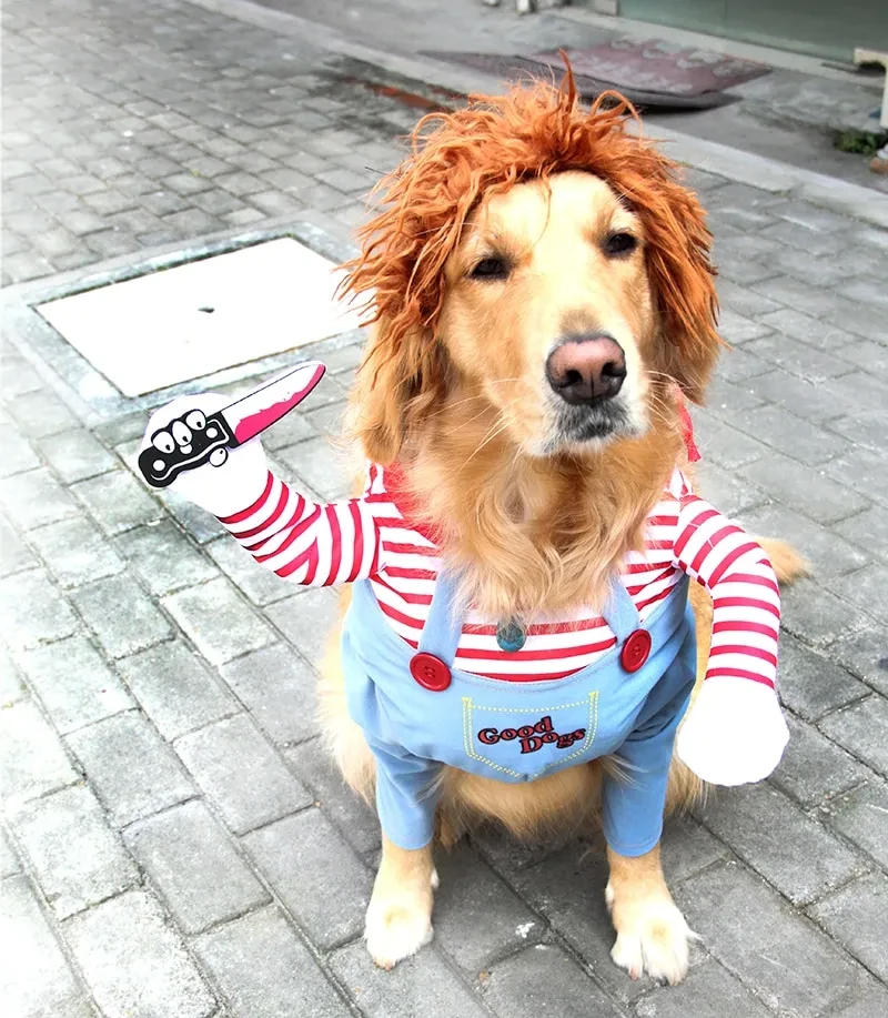 Pet Dog Funny Clothes